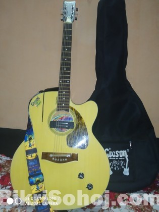 Givson Guiter